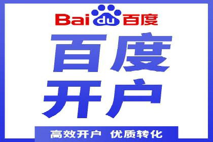百度推广费用的投入与市场占有率提升的关联案例